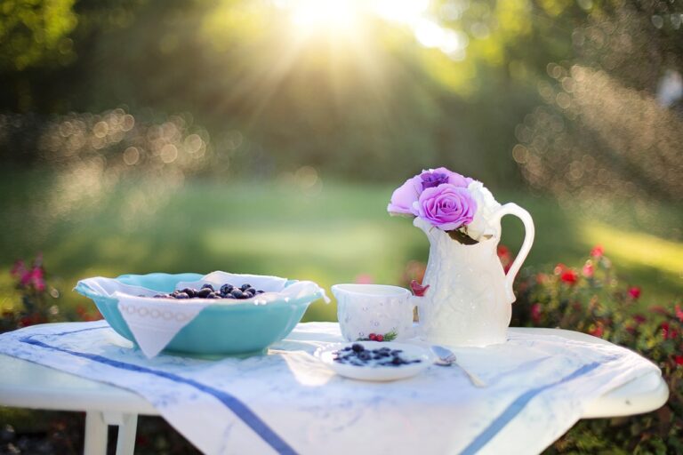 blueberry, breakfast, sunlight-1576407.jpg